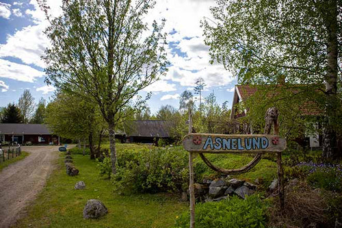 Infarten till gården där Eva Spångbergs träkonst bevaras